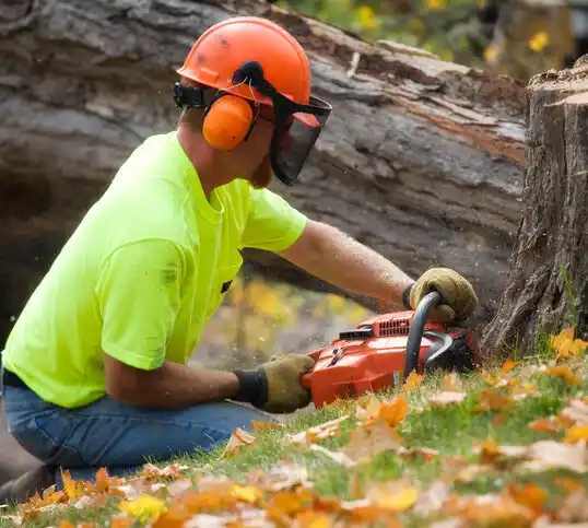 tree services Lake Junaluska